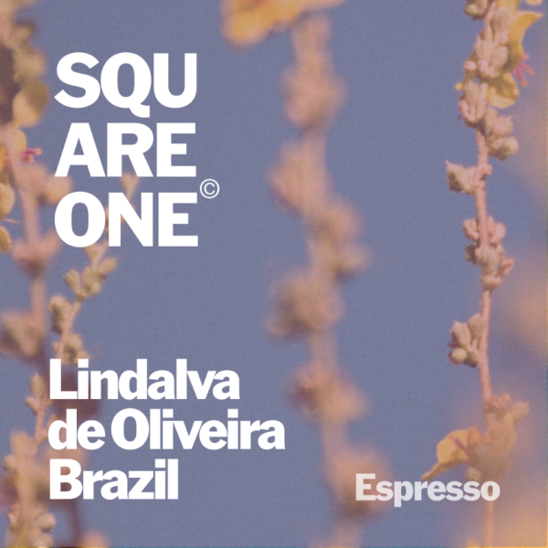 Lindalva de Olivera, Brazil_image_Square One Coffee_order now