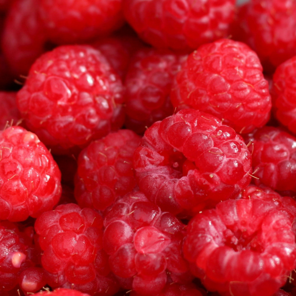 RASPBERRY (FZN WHOLE) (1 KG BAG)_image_Campania Alimentari_order now