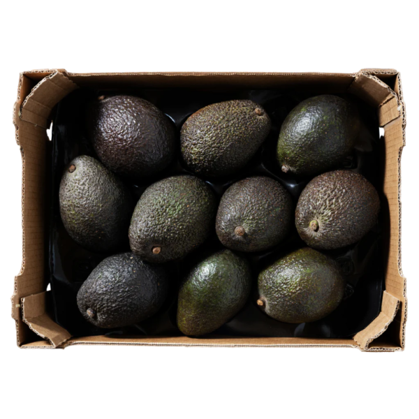 Avocado Green Skin Premium (Tray) (~1Tray)_image_Daily Fruits & Veg_order now