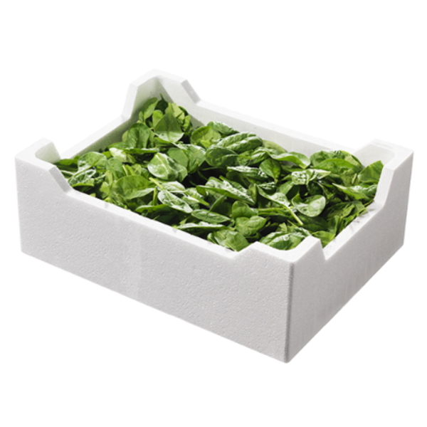 Mix Salad (1.5kg/Box)_image_Daily Fruits & Veg_order now