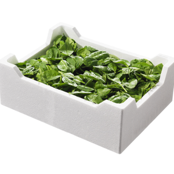 Spinach Baby (1.5kg/Box)_image_Daily Fruits & Veg_order now