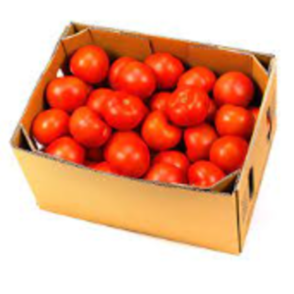 Tomato (10kg Box)_image_Daily Fruits & Veg_order now