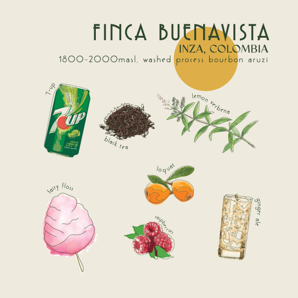 250g - Colombia - Finca Buenavista_image_Core Roasters_order now