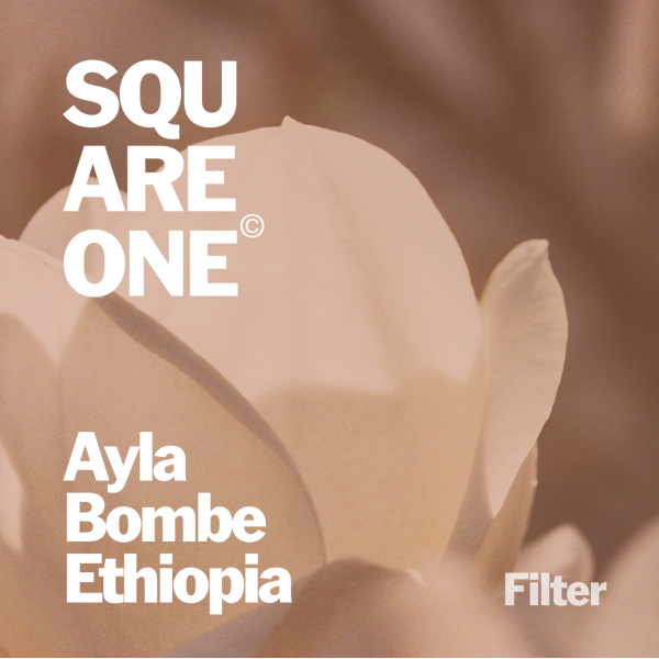 Ethiopia - Ayla Bombe _image_Square One Coffee_order now