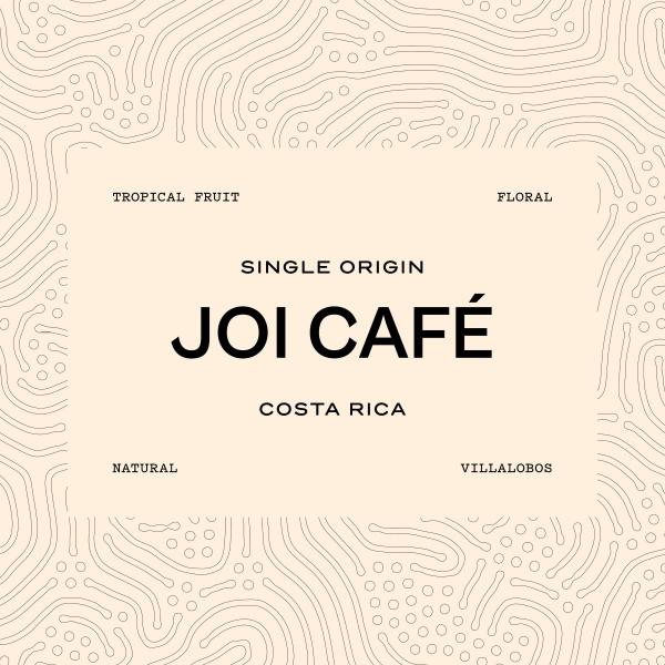 JOI CAFE | COSTA RICA | 1KG_image_Loggerhead Coffee Co_order now