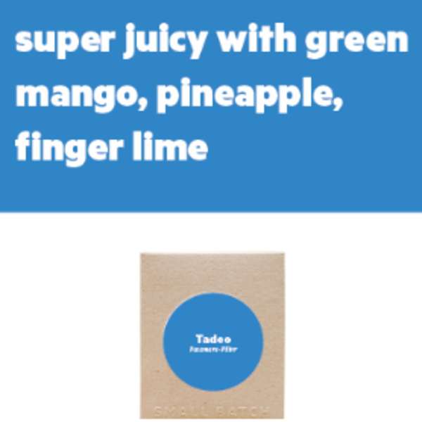 Tadeo Lopez - Pacamara Filter 250g_image_Small Batch Roasting Co._order now