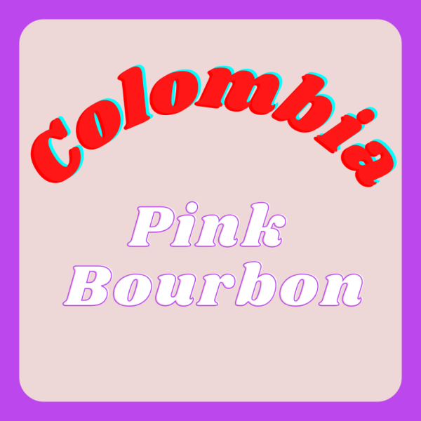 Colombia Pink Bourbon_image_ickle coffee_order now