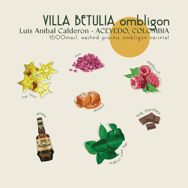 1kg - Colombia - Villa Betulia Ombligon_image_Core Roasters_order now