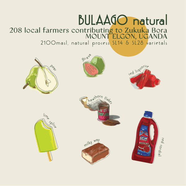 250g - Uganda - Bulaago Natural_image_Core Roasters_order now