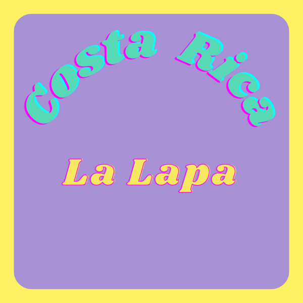 Costa Rica La Lapa_image_ickle coffee_order now