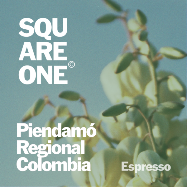 Piendamó - Colombia_image_Square One Coffee_order now
