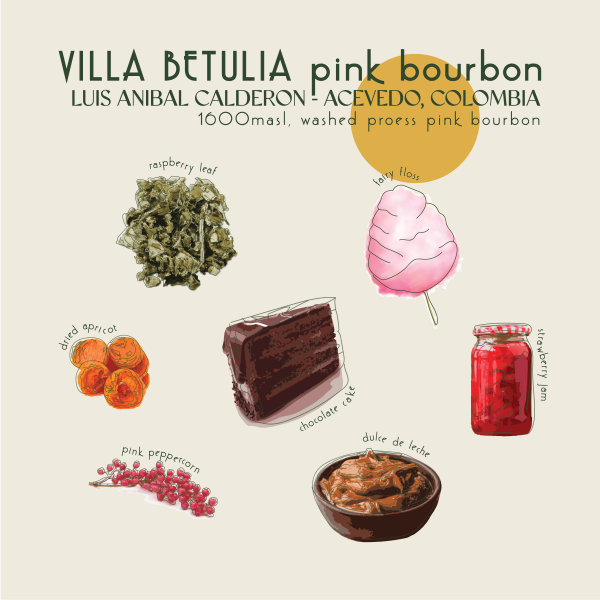 250g - Colombia - Villa Betulia Pink Bourbon_image_Core Roasters_order now