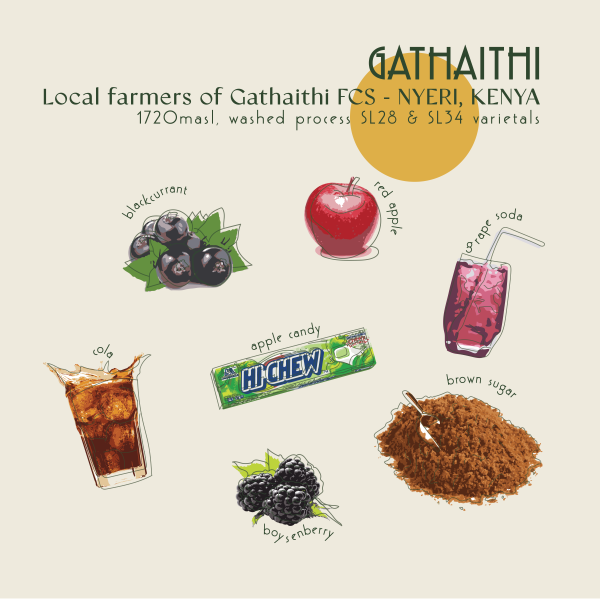 250g - Kenya - Gathaithi_image_Core Roasters_order now