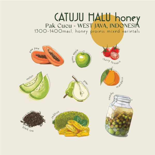 250g - Indonesia - Catuji Halu Honey_image_Core Roasters_order now