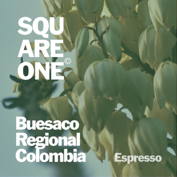 Buesaco Regional - Colombia_image_Square One Coffee_order now