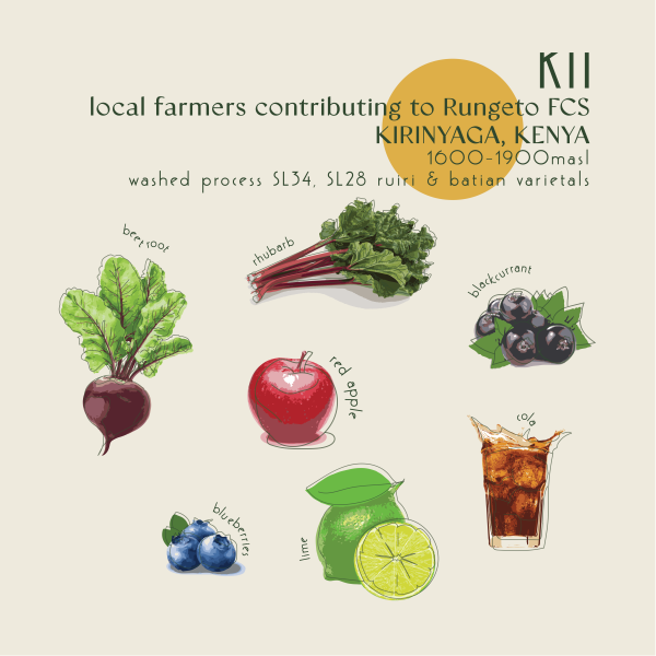 250g - Kenya - Kii_image_Core Roasters_order now