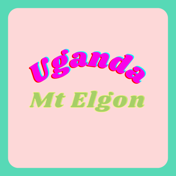 Uganda Mt Elgon Grade A_image_ickle coffee_order now