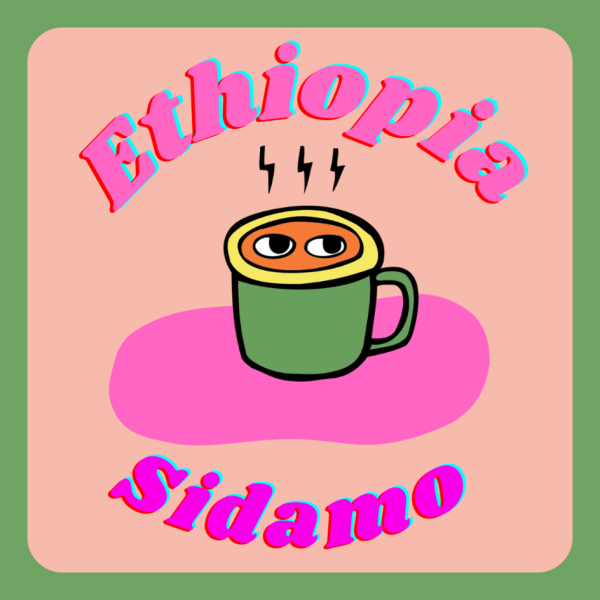 Ethiopia Sidamo Karamo_image_ickle coffee_order now
