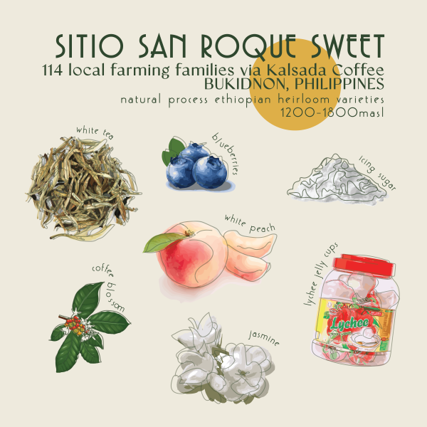 250g - Philippines - Sitio San Roque Sweet_image_Core Roasters_order now