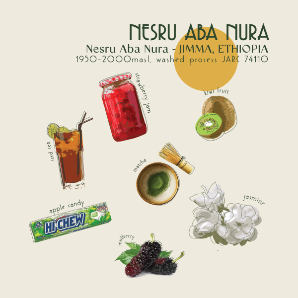 250g - Ethiopia - Nesru Aba Nura_image_Core Roasters_order now