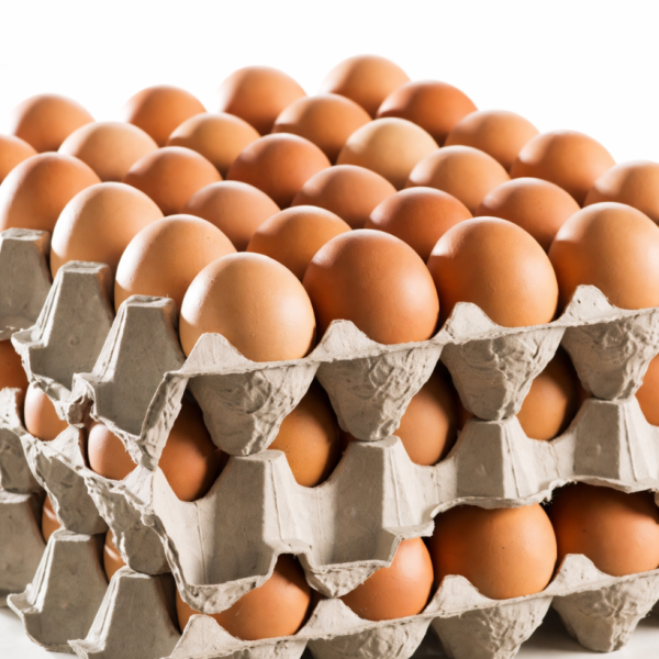 Eggs - Free Range Large Box Catering_image_Harmony Eggs_order now