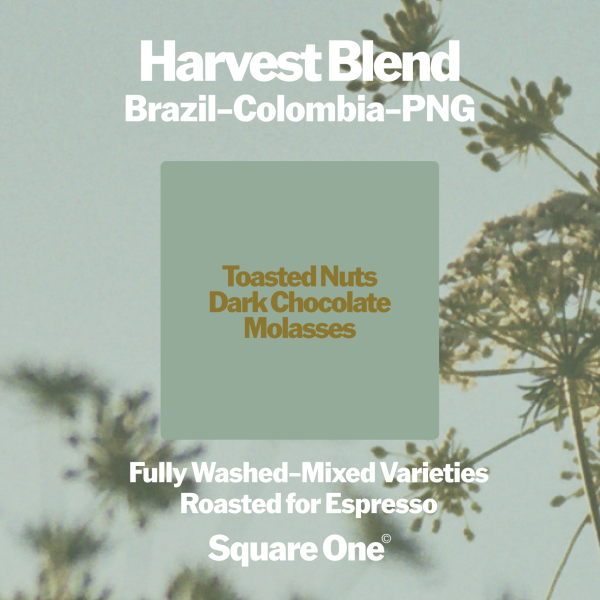 Harvest Blend — Espresso_image_Square One Coffee_order now
