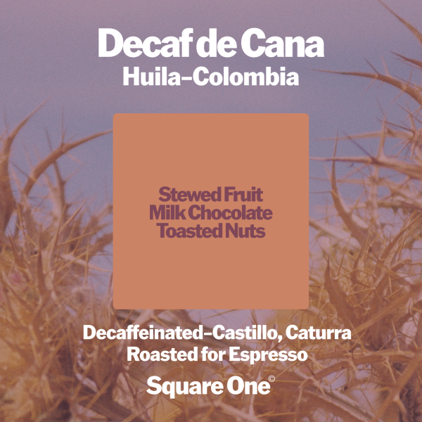 Decaf de Cana, Colombia – Decaf Espresso_image_Square One Coffee_order now