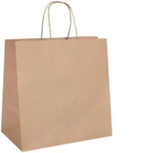 Meidum Takeaway Bag (250pc/CTN)_image_Upstart Packaging_order now