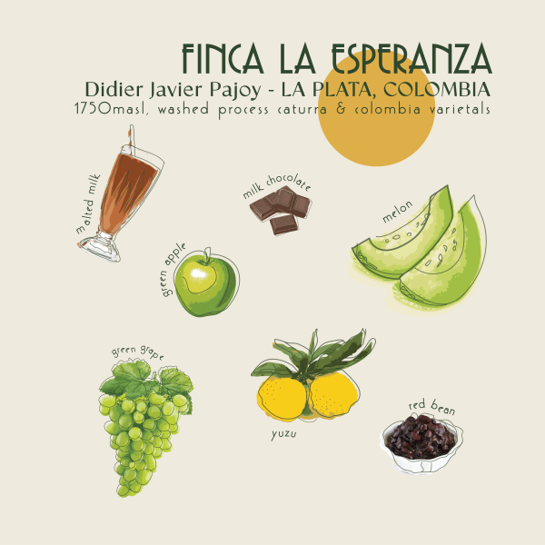 250g - Colombia - La Esperanza_image_Core Roasters_order now