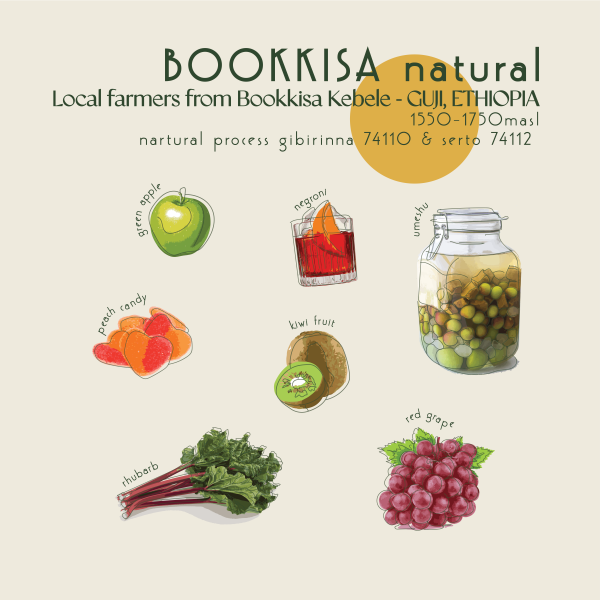 250g - Ethiopia - Bookkisa Natural_image_Core Roasters_order now