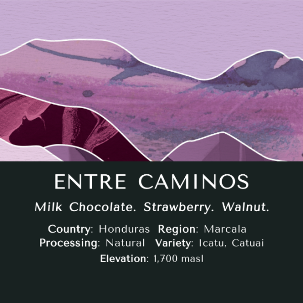 Entre Caminos (Natural)- Honduras (250g)_image_Monastery Coffee_order now