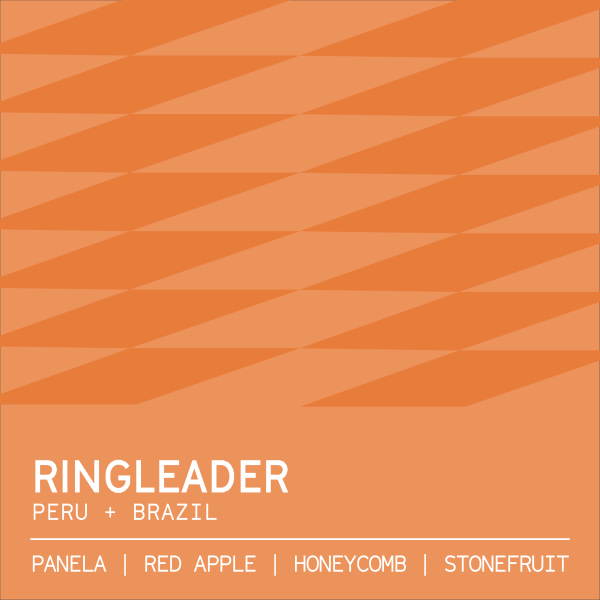 Ringleader 1kg_image_Clark St Coffee Roasters_order now