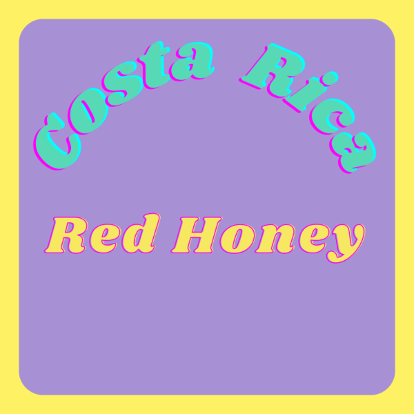 Costa Rica Helsar de Zarcero 250g_image_ickle coffee_order now