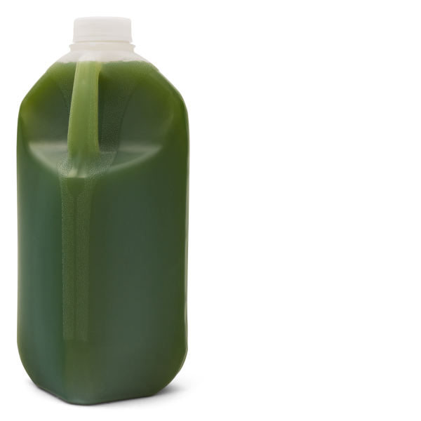 Living Green - 2L_image_Funk Drinks Co_order now