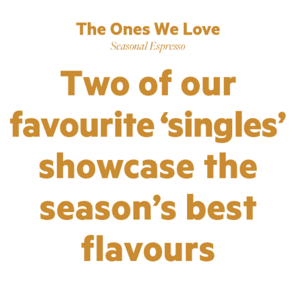 The Ones We Love, Seasonal Espresso 5kg _image_Small Batch Roasting Co._order now