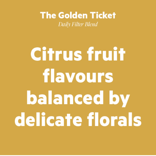 Golden Ticket Filter, 1kg_image_Small Batch Roasting Co._order now