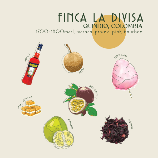 250g - Colombia - La Divisa_image_Core Roasters_order now