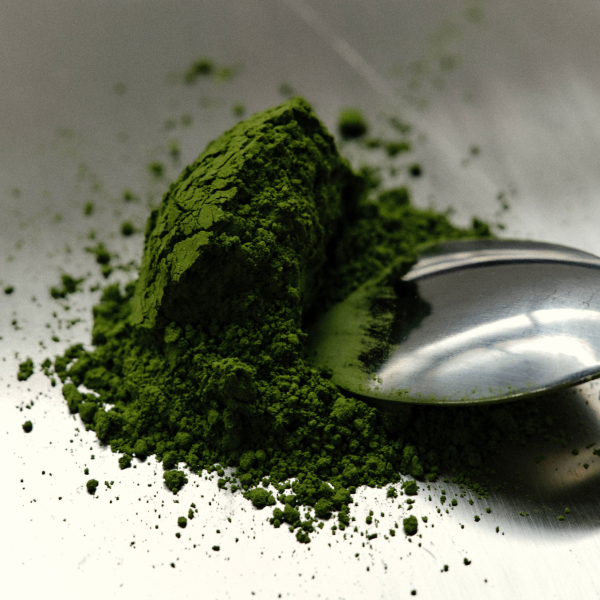 Green tea - Matcha: Ceremonial Grade 500 grams SERVICE_image_Assembly Store_order now