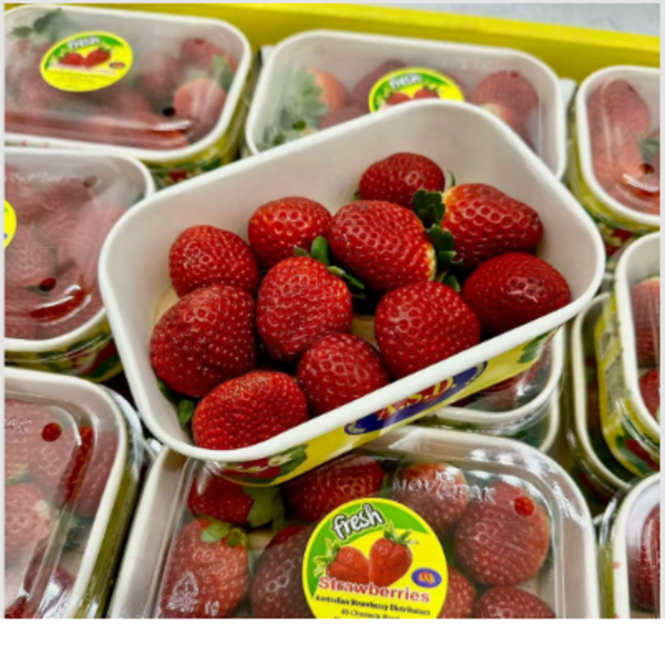 Strawberries Premium Large ASD - 250g Punnet_image_Biviano Direct FRUIT & VEG_order now