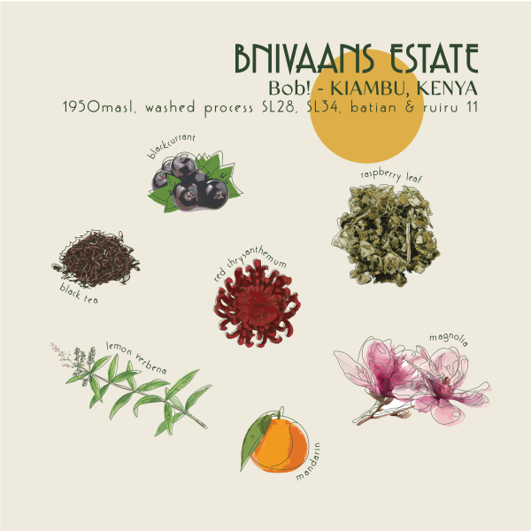 200g - Kenya - Bnivaans Estate_image_Core Roasters_order now