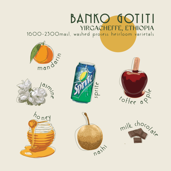 200g - Ethiopia - Banko Gotiti_image_Core Roasters_order now