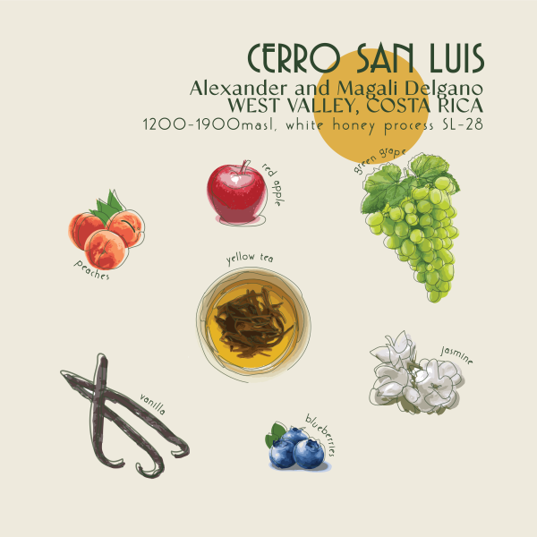 200g - Costa Rica - Cerro San Luis_image_Core Roasters_order now