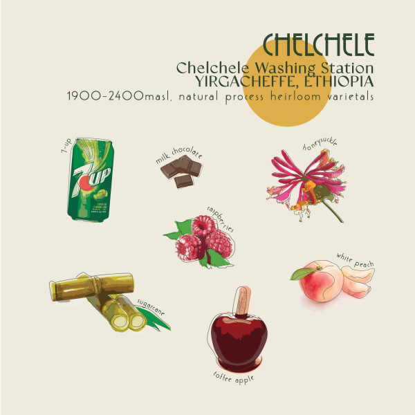 200g - Ethiopia - Chelchele_image_Core Roasters_order now