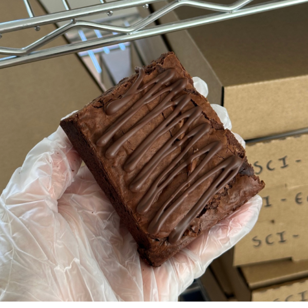 Plain Brownie - White Choc (tray of 9 brownies)_image_Fatboi Brownies_order now