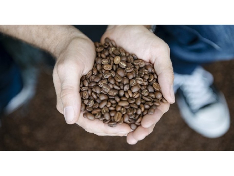 Tim Adams Specialty Coffee