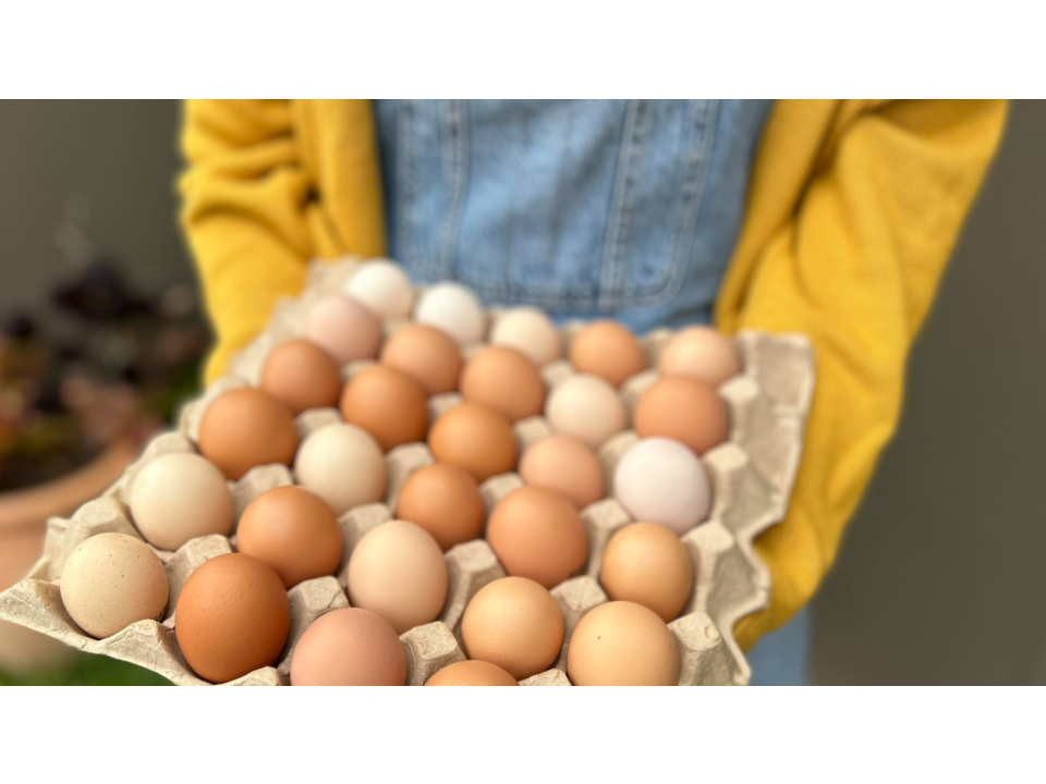 Back Valley Farm Pastured Eggs