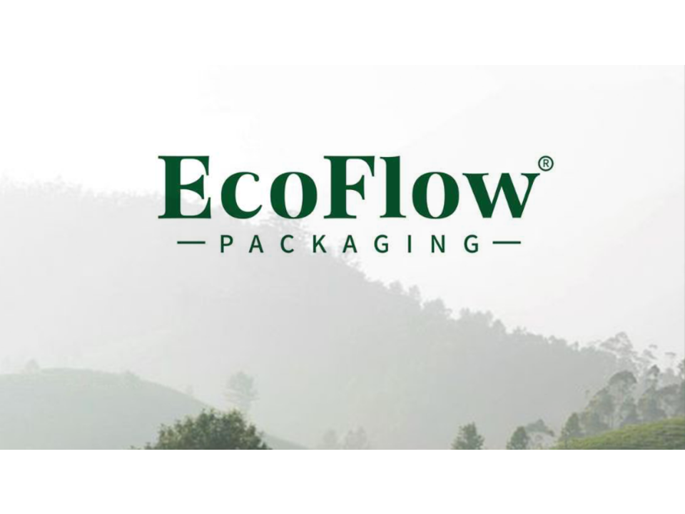 EcoFlow Packaging