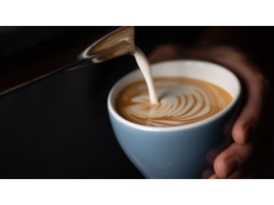 Darks Coffee Roasters