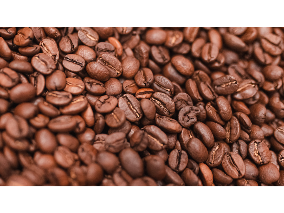 Little Fox Coffee Roasters