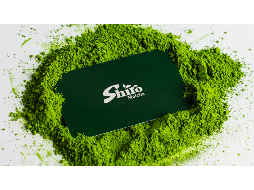 Shiro Matcha